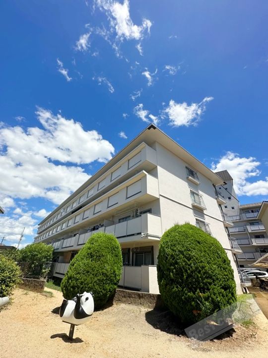 北野田大発マンションB棟の外観