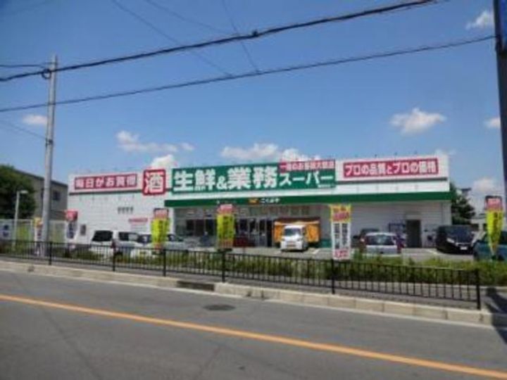 レオパレス新堂の周辺