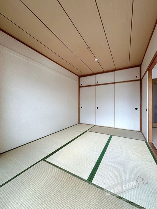コージーオオトリのその他画像