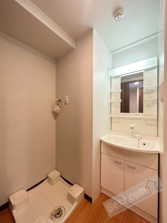 サワー・ドゥ白鷺のその他画像