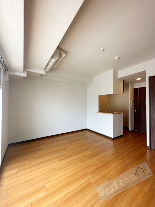 サワー・ドゥ白鷺のその他画像