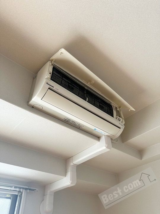 サワー・ドゥ白鷺のその他画像