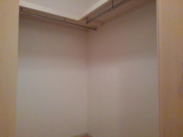 パイン・ツリーのその他画像