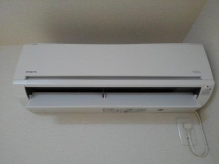 パイン・ツリーのその他画像