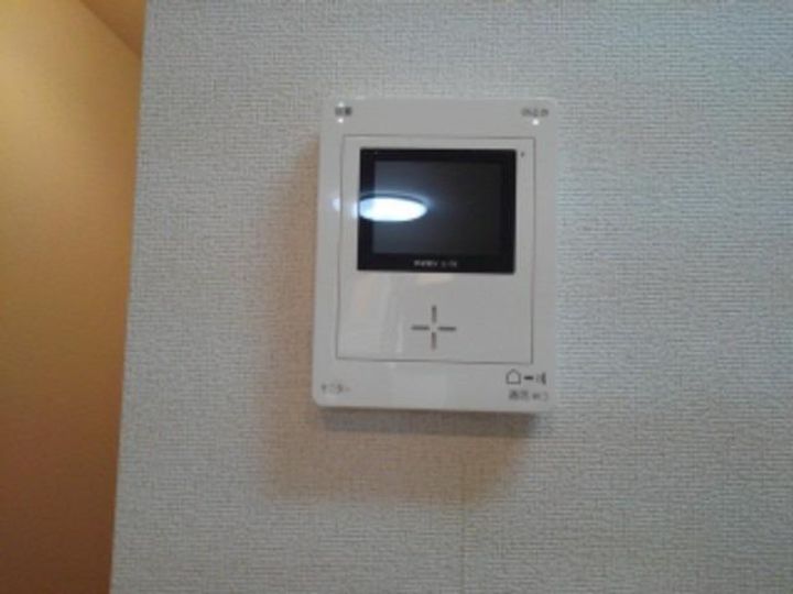 パイン・ツリーのその他画像