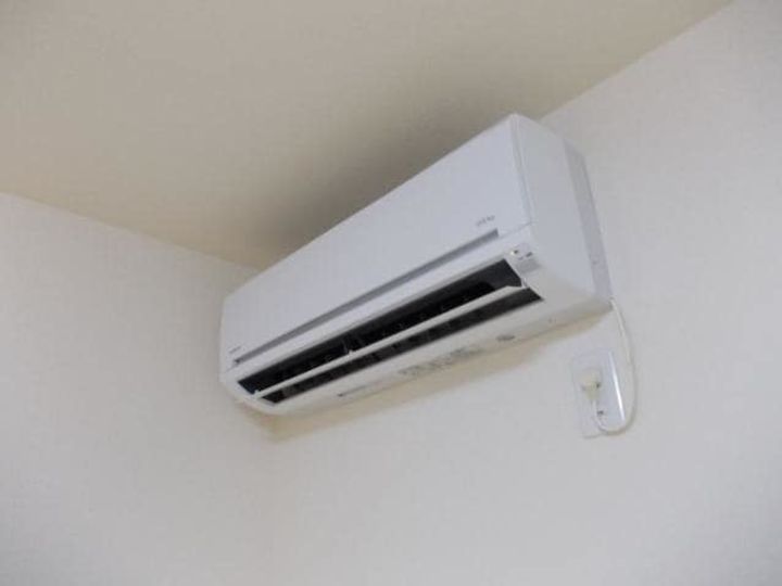 サザンウイングのその他画像