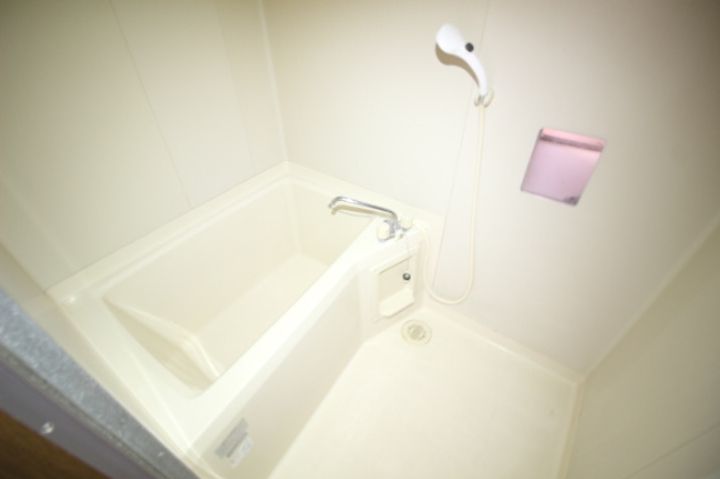 グランドフォレストさぬきや401の風呂