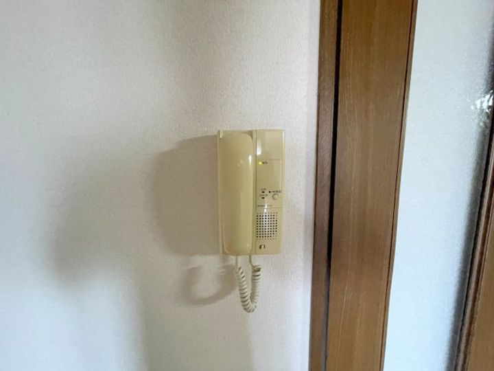 Vulcanのその他画像