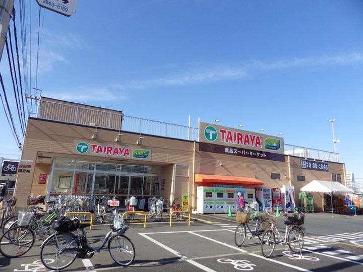 ブルーデイジーの周辺