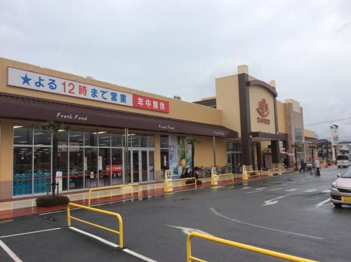 ブルーデイジーの周辺
