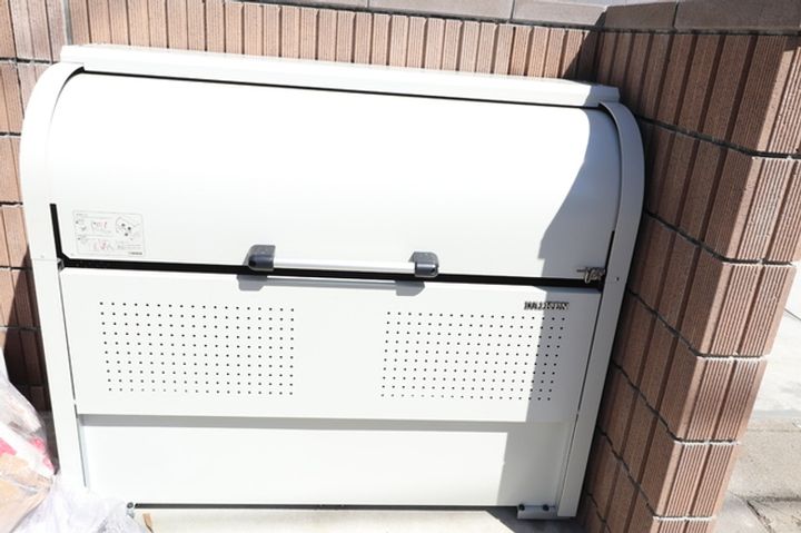 ブルーデイジーのその他画像