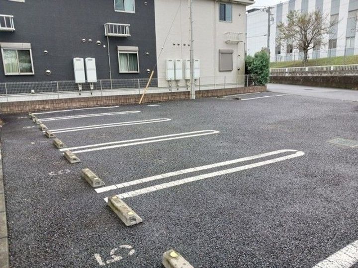 チェリーブロッサムのその他画像