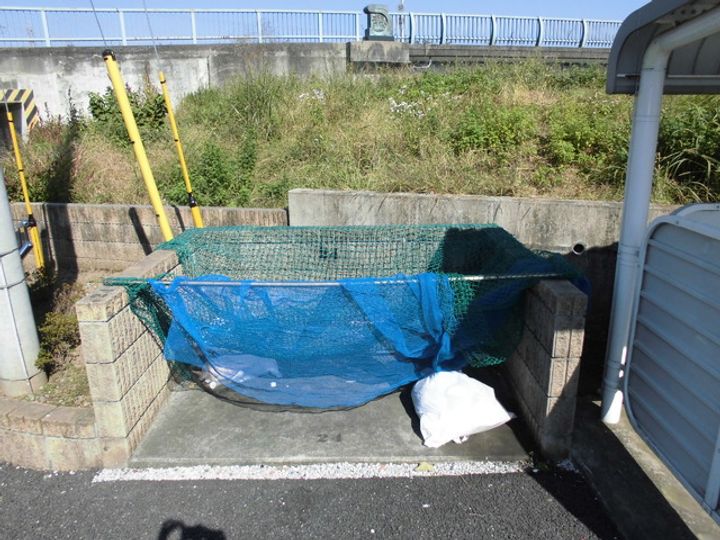 ベルナティオⅡのその他画像