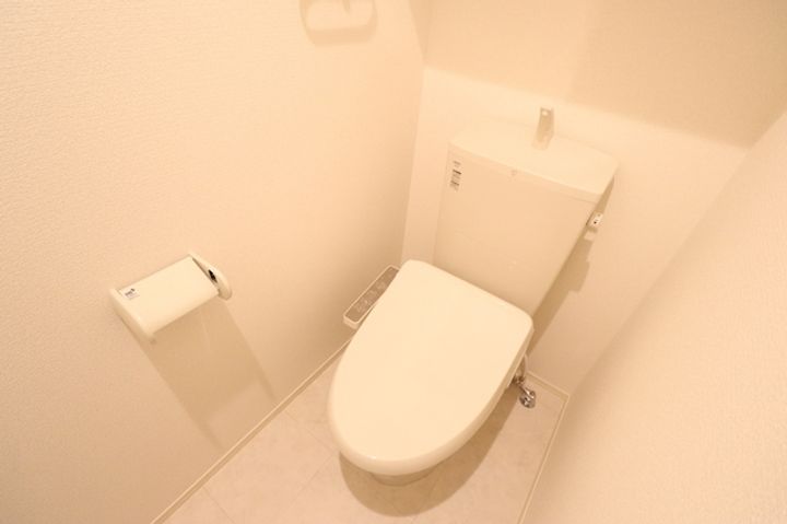 ブルーデイジーのその他画像