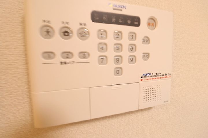 ブルーデイジーのその他画像