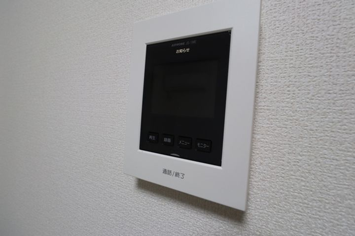 ブルーデイジーのその他画像