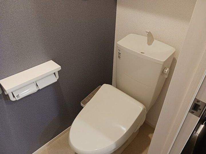 ステラートのその他画像