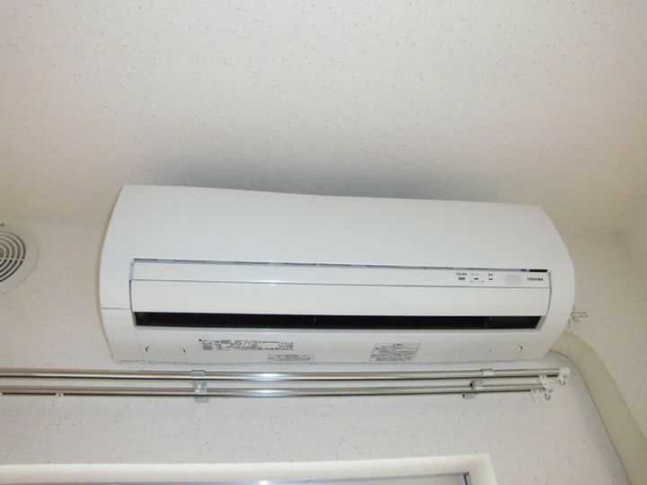 ココアのその他画像