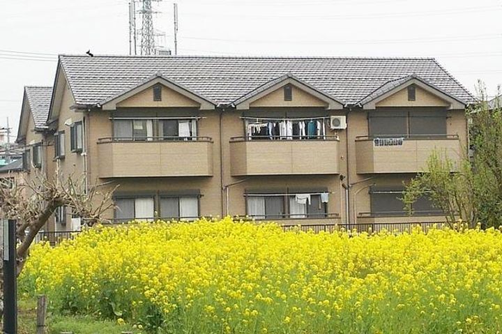 YAMASEN Ⅰのその他画像