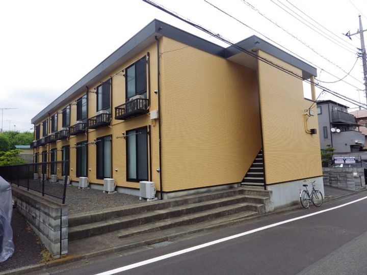 アムール琴の外観