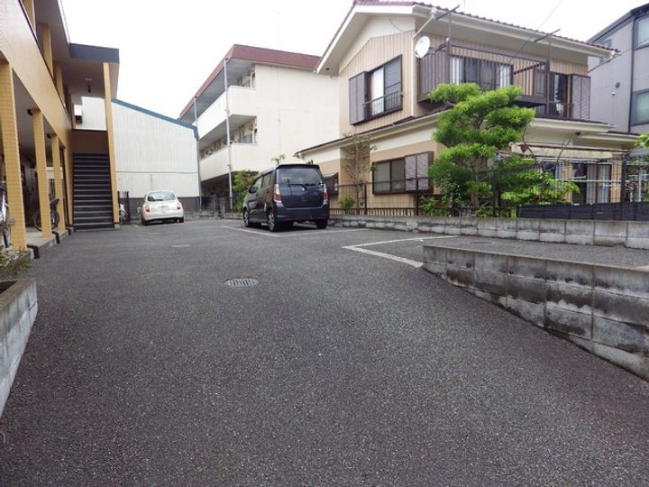 アムール琴のその他画像