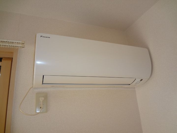 ヴェルデのその他画像