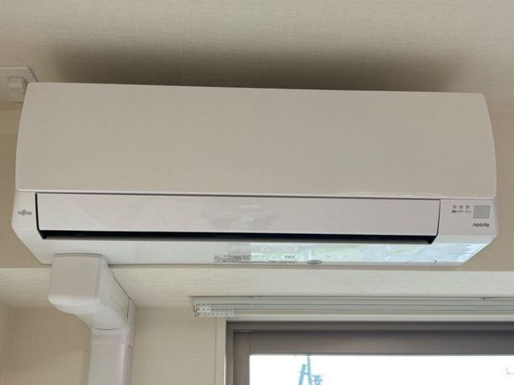 ブロッサムのその他画像