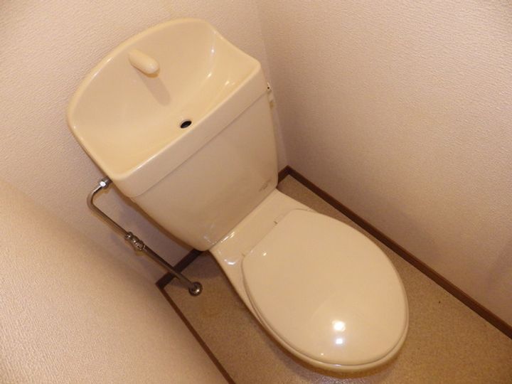 アムール琴のその他画像