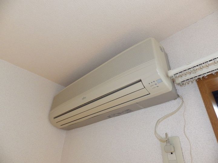 アムール琴のその他画像