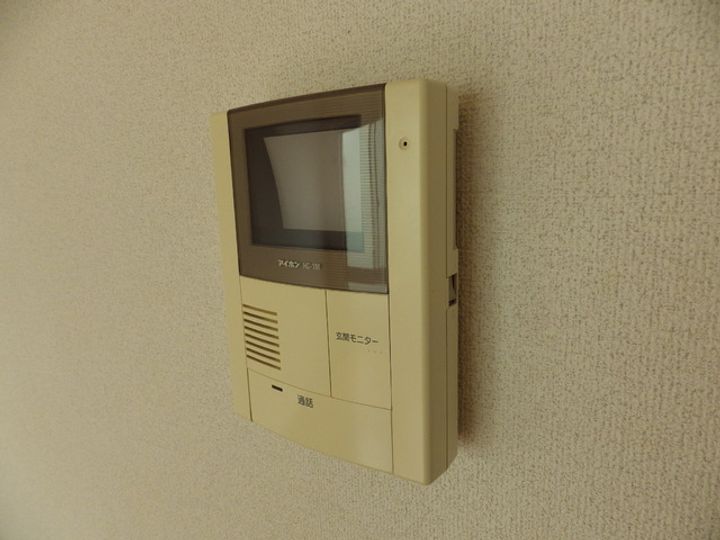 アムール琴のその他画像