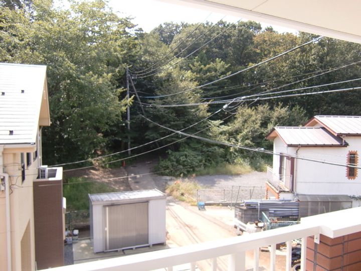 グリーン グレイスのその他画像