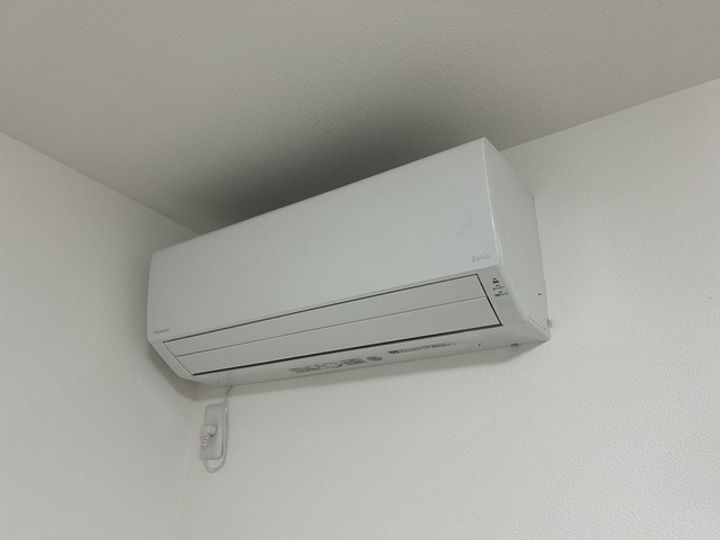 Liberdadeのその他画像