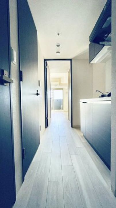 ファステートNAMBA華月の玄関