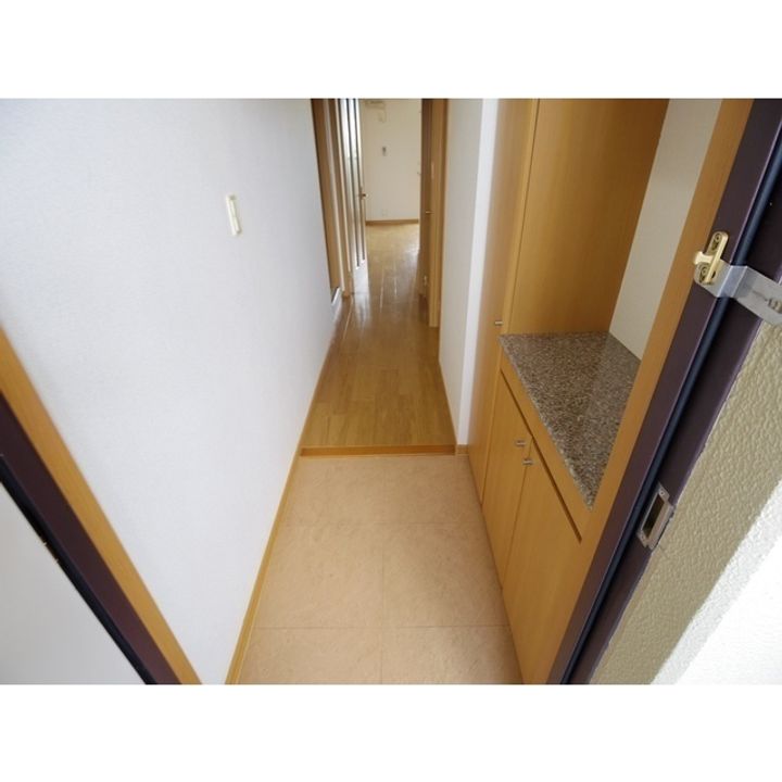 アルフレンテ301の玄関