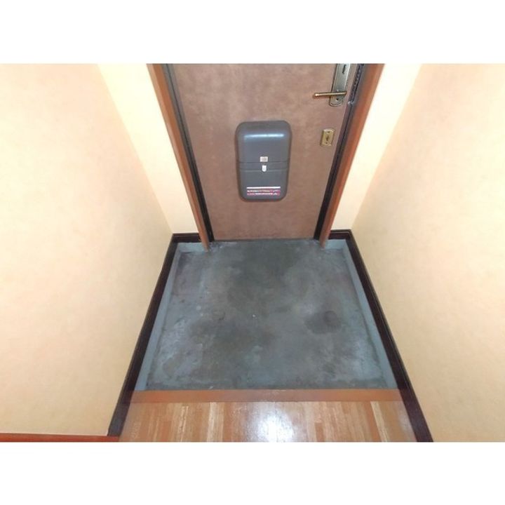 グランヒル203の玄関