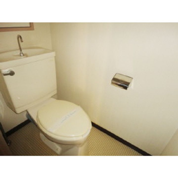 イワマアメニー405のその他画像