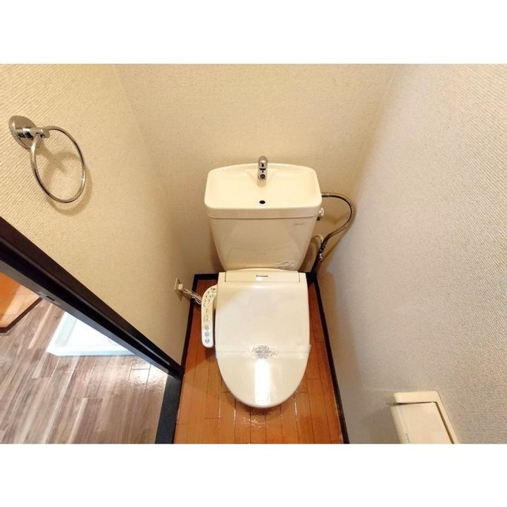 Southern Crossのその他画像