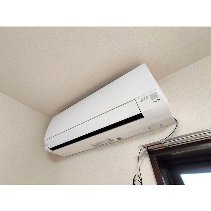 Southern Crossのその他画像