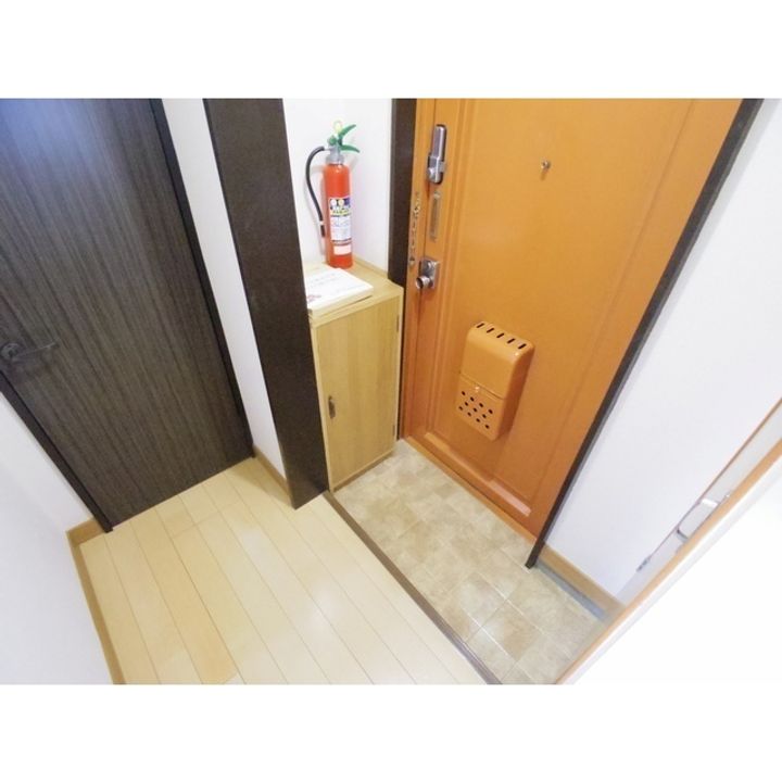 ヤングハイツ305の玄関
