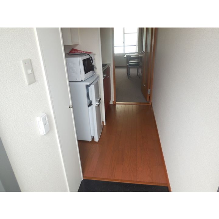 レオパレスサンフラワー206の玄関