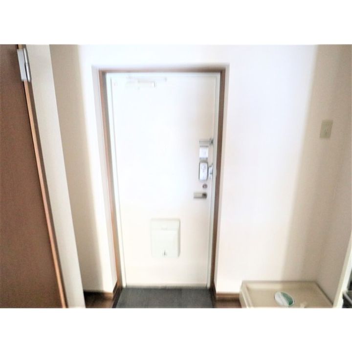 クイーンディオールマンション102の玄関