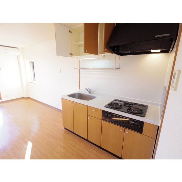 サープラスベルク103のキッチン