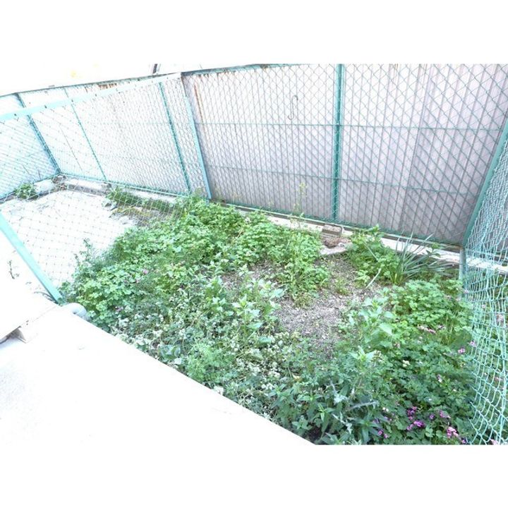 レジデンス城B-7のその他画像