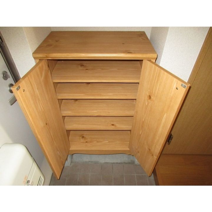 ヴェルートラルヂュⅡ107の玄関