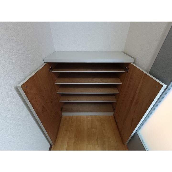 ファインパレス D103の玄関