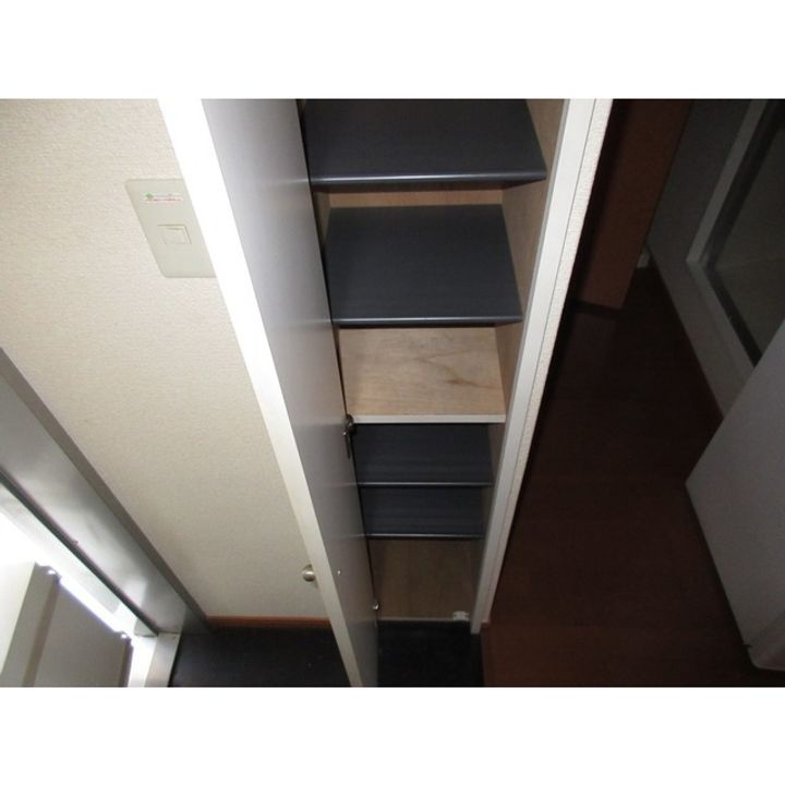 レオパレスグリーンライン101の玄関