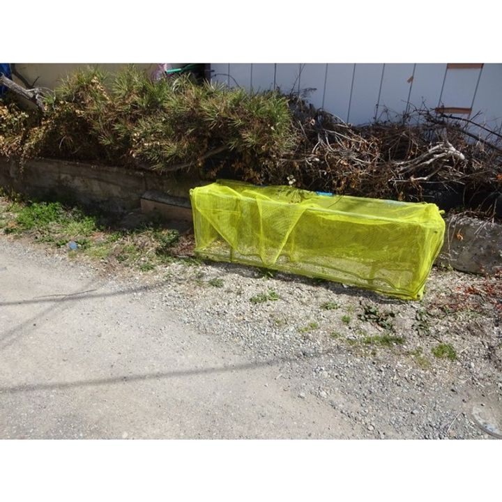 村越第一マンション6のその他画像