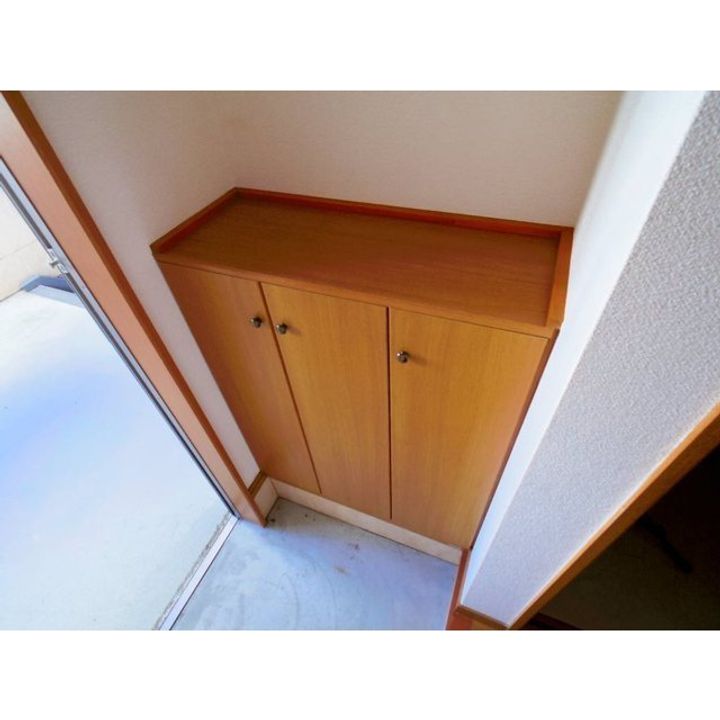 ハーベスト殿城A棟102の玄関