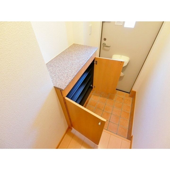 カーサセレノ204の玄関