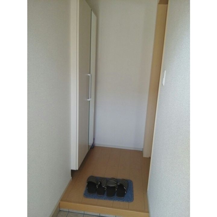 メゾンリバーサイドBの玄関